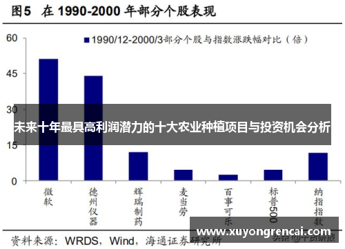 未来十年最具高利润潜力的十大农业种植项目与投资机会分析